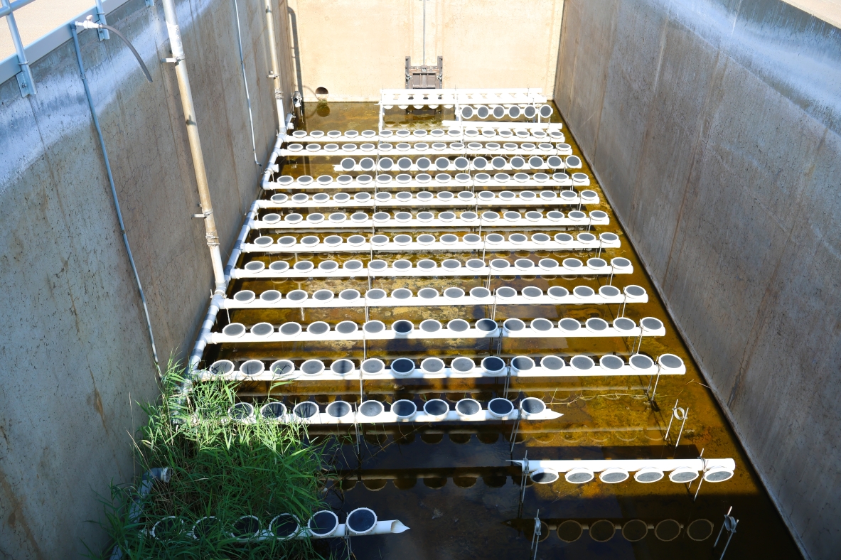 July 7, 2026 &ndash; Extended Aeration Basin
